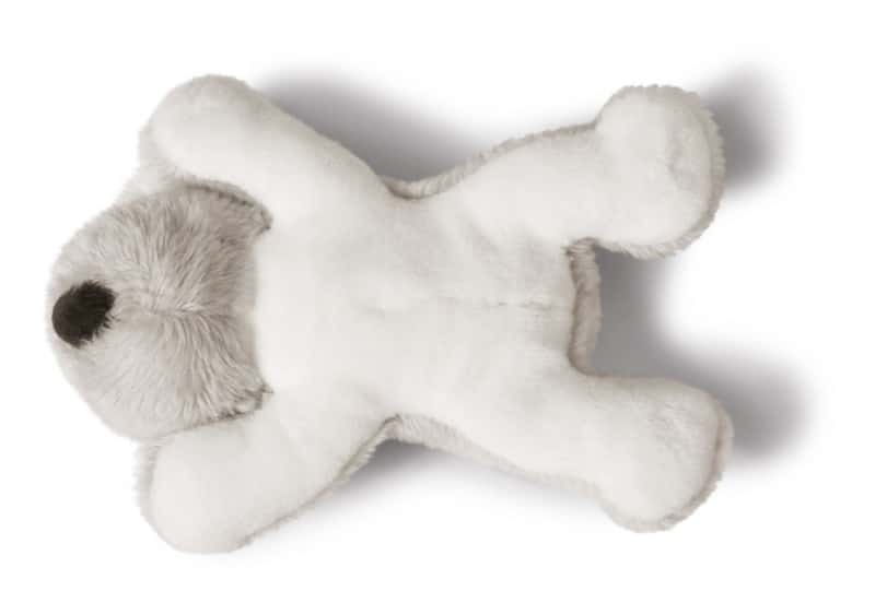 MagNICI magneetdier Koala