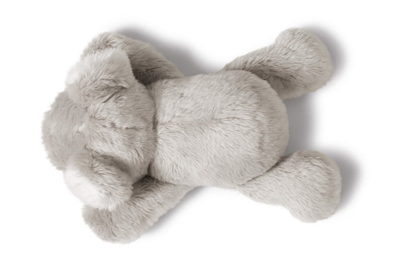 MagNICI magneetdier Koala