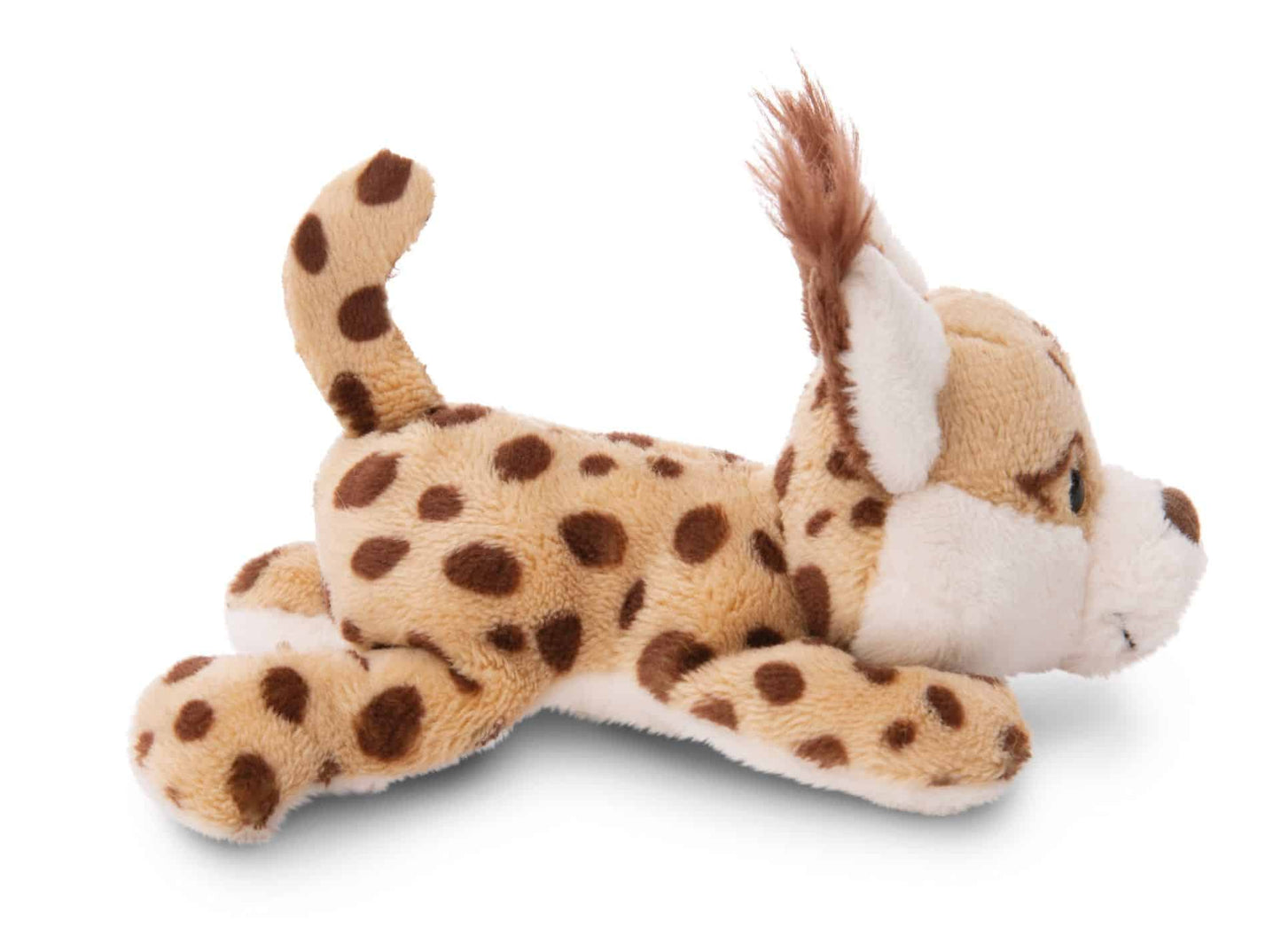MagNICI magneetdier Lynx