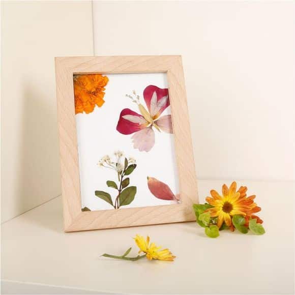 Huckleberry gedroogde bloemen lijstje