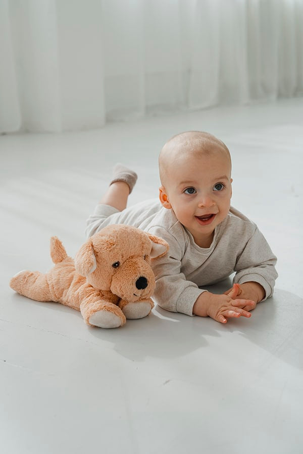 Ontspanningsknuffel Habibi Labrador