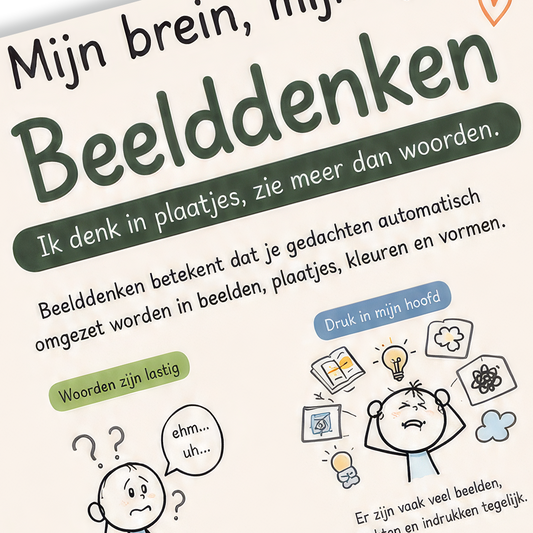 Uitlegkaart - Mijn brein mijn lijf - Beelddenken - download