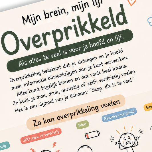 Uitlegkaart - Mijn brein mijn lijf - Overprikkeld - download