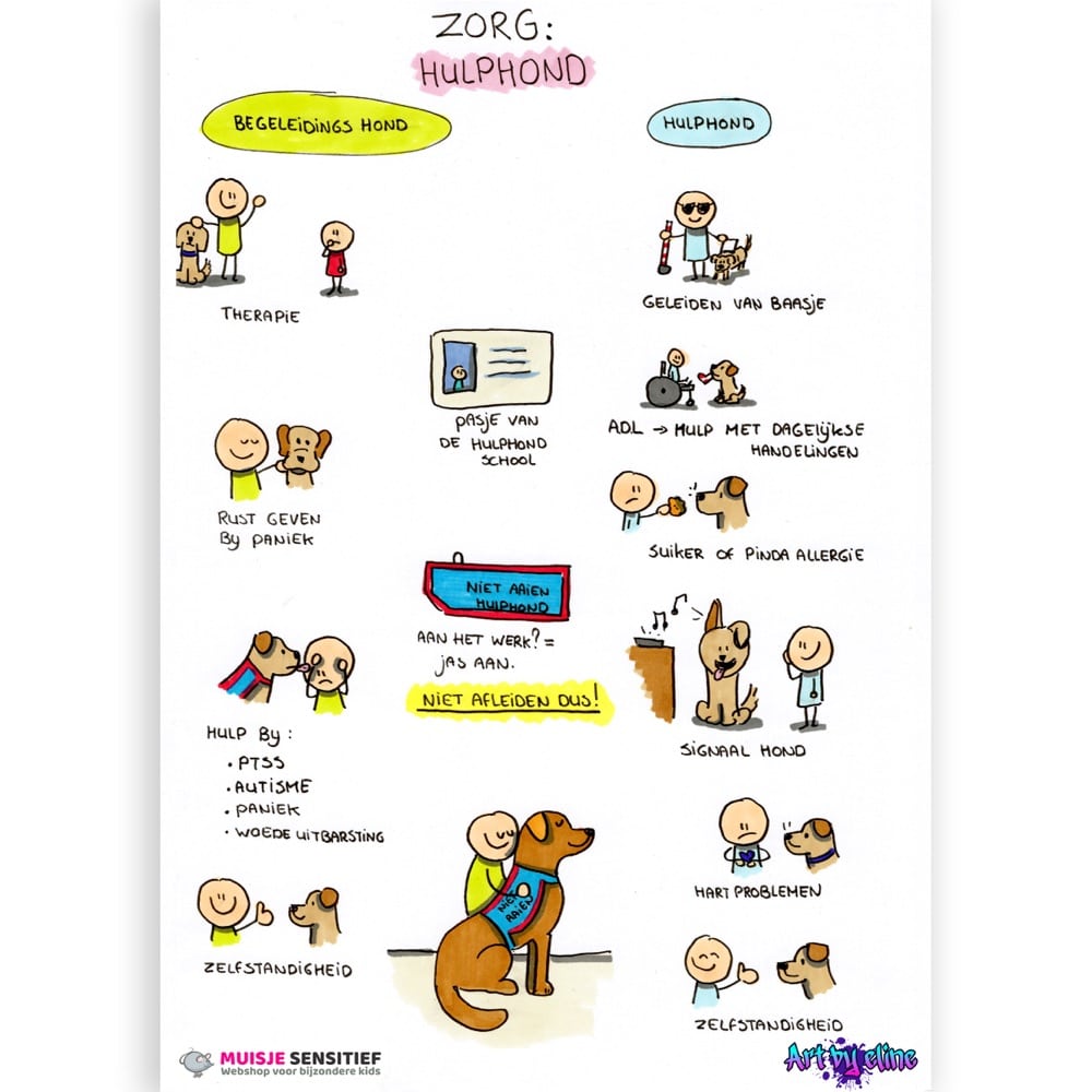 Uitlegkaart - Zorg - Hulphond - download