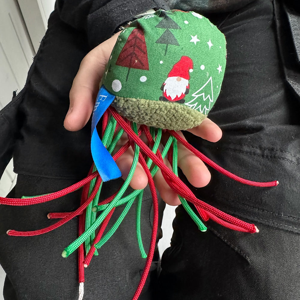 EmotieKids Squidgy Fidget Feestdagen