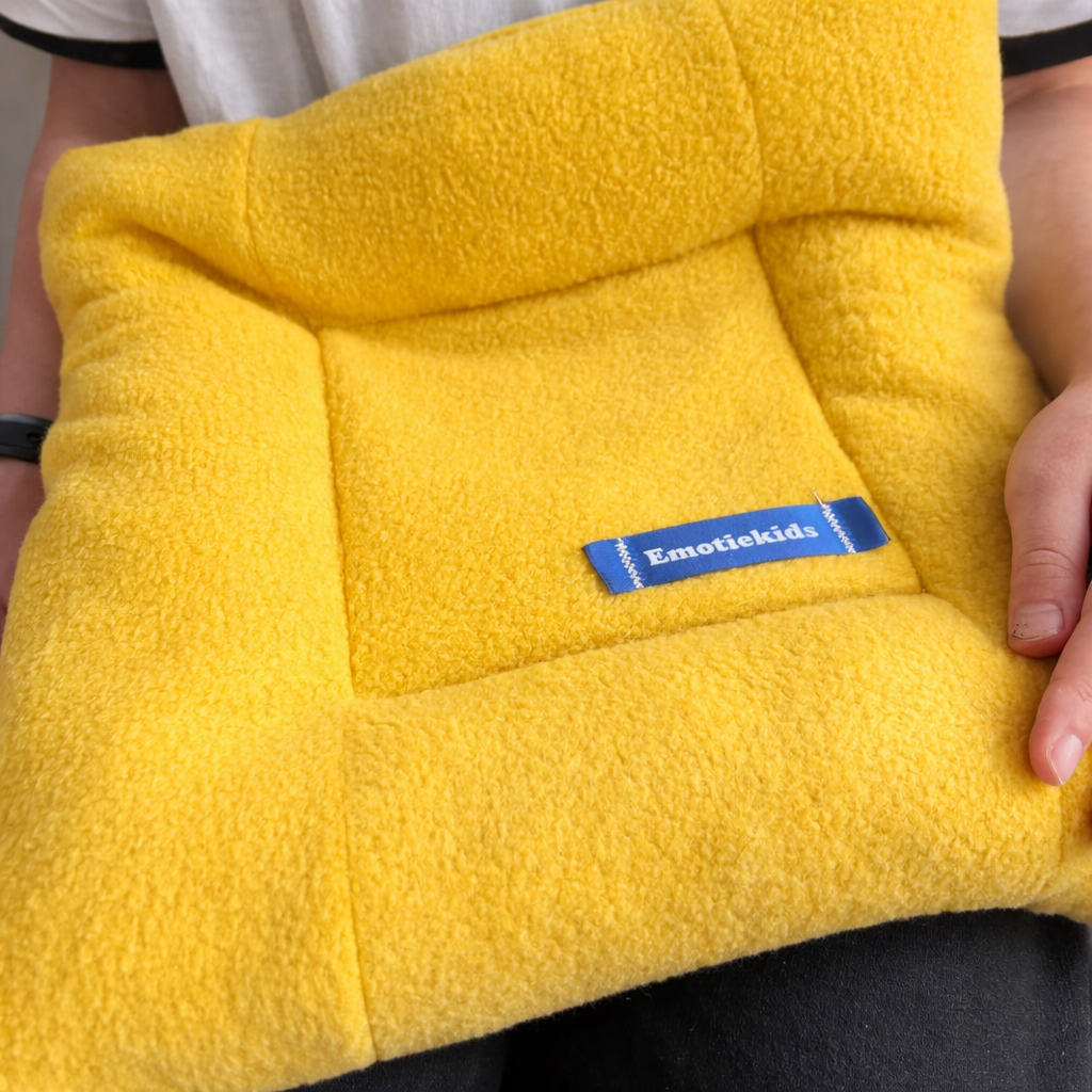 EmotieKids Verzwaringskussen budget 30x30cm